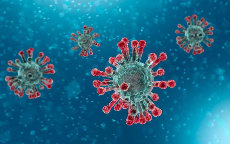 இயற்கை corona virus