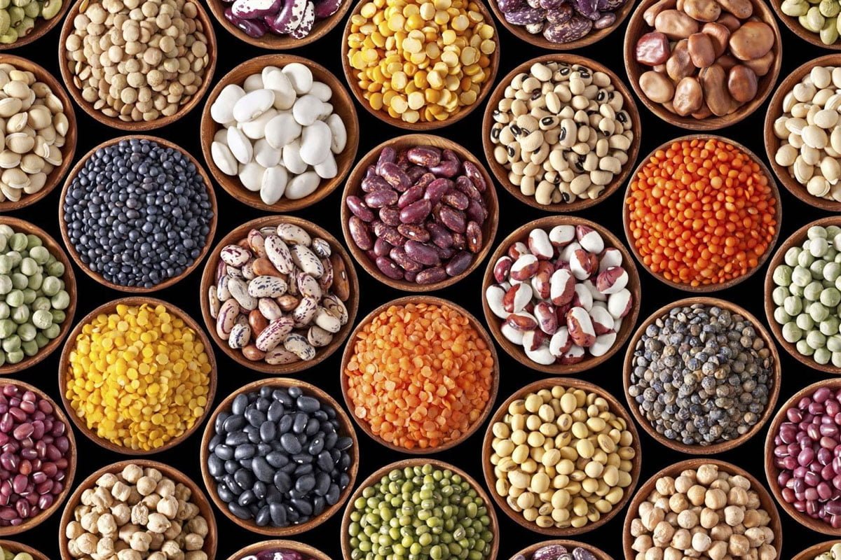 New Varieties of Pulses and Their Special Characteristics!
