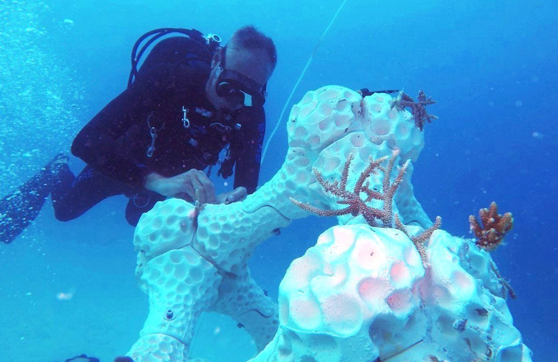 PB_Artificial corals