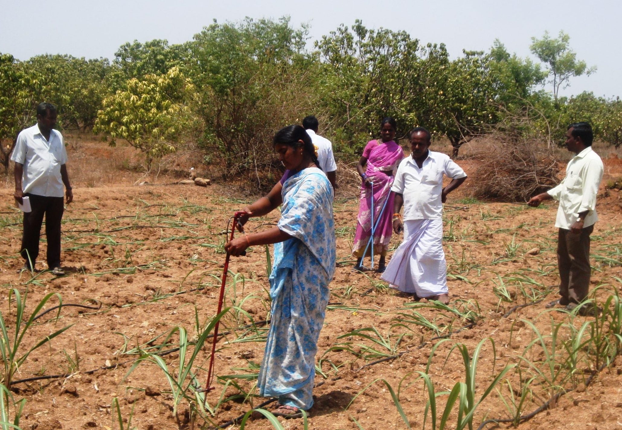 கரும்பு சாகுபடிக்கு உதவும் கருவிகள்!