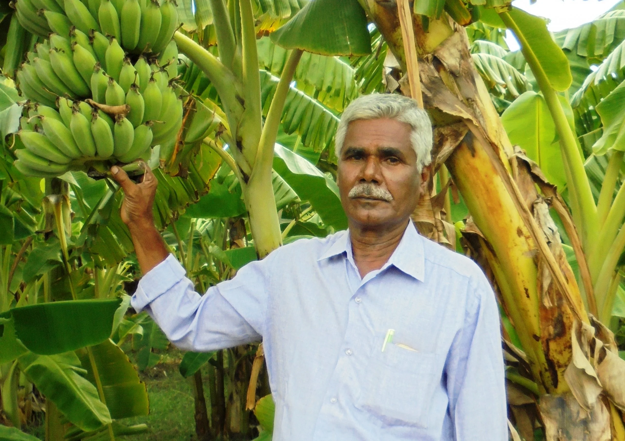 நீரைச் சிக்கனமாக பயன்படுத்தி விவசாயம் செய்யுங்கள்!