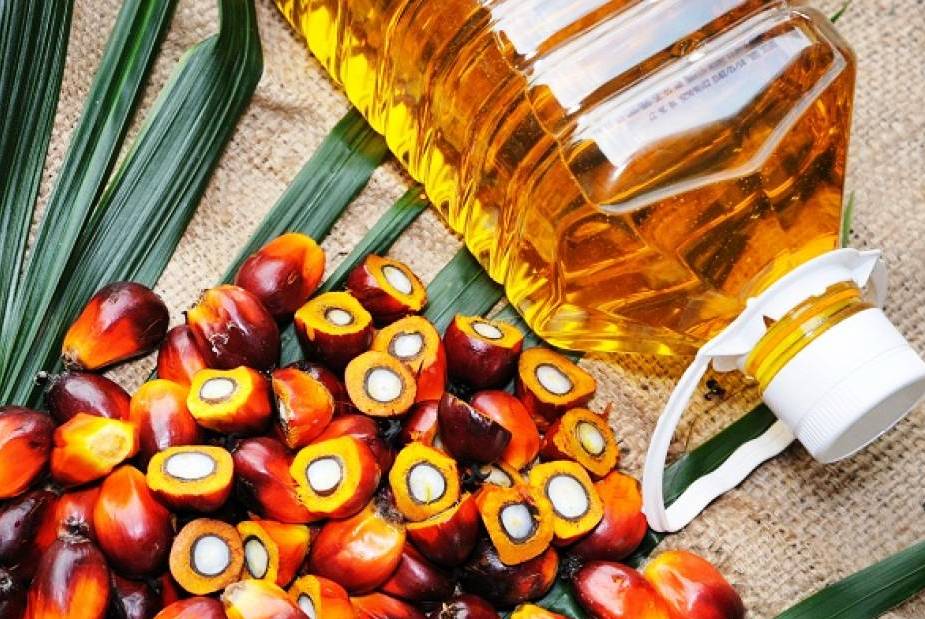 palm_oil