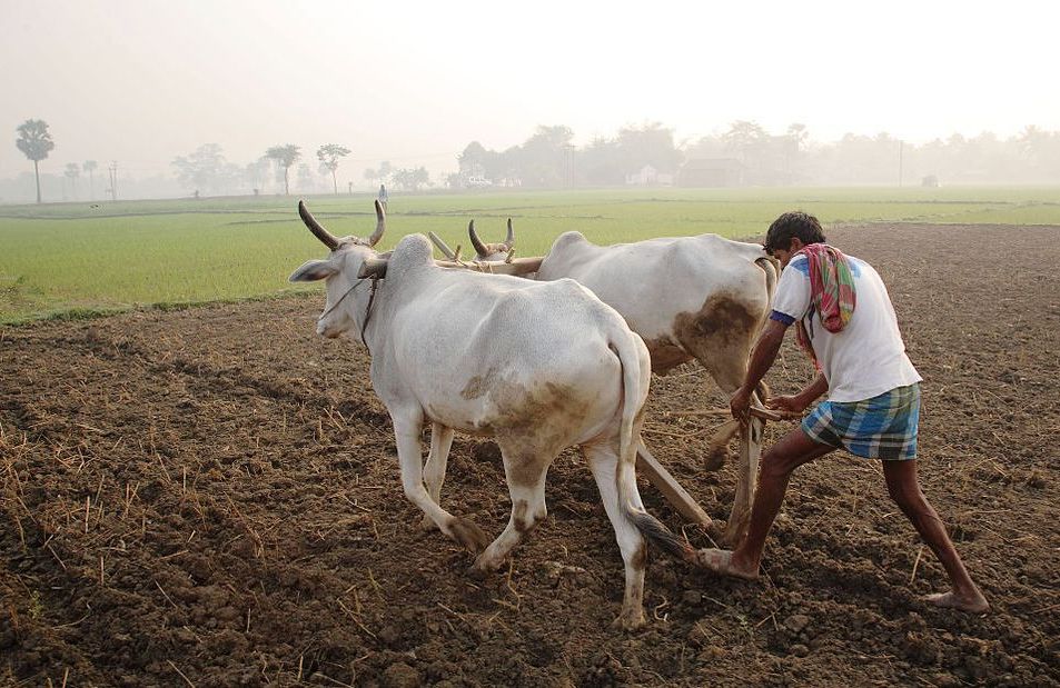 கோடை உழவு Summer plowing