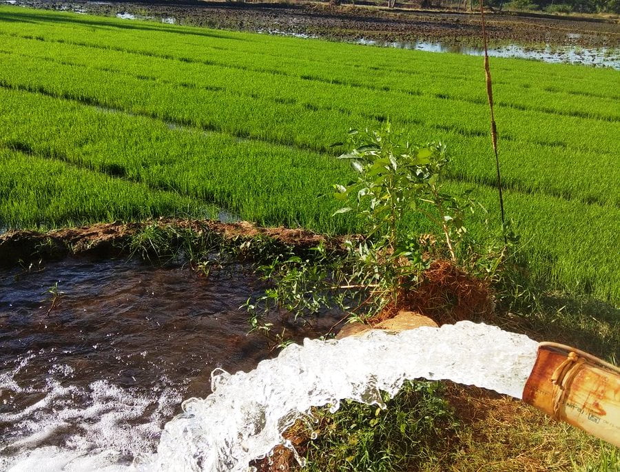 பாசன நீரின் water quality