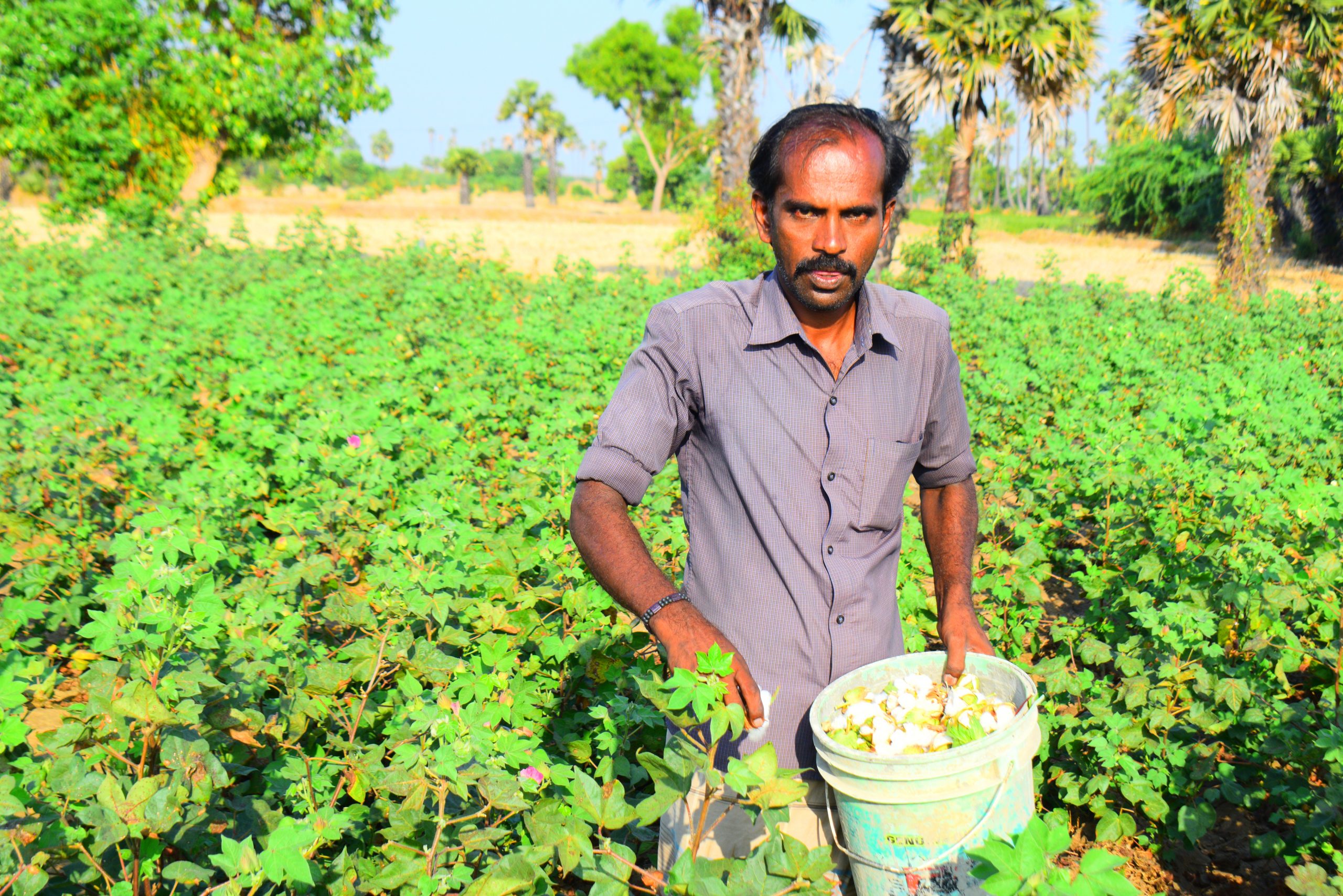 விவசாயிகளுக்கு உதவும் ரிலையன்ஸ் அறக்கட்டளை!