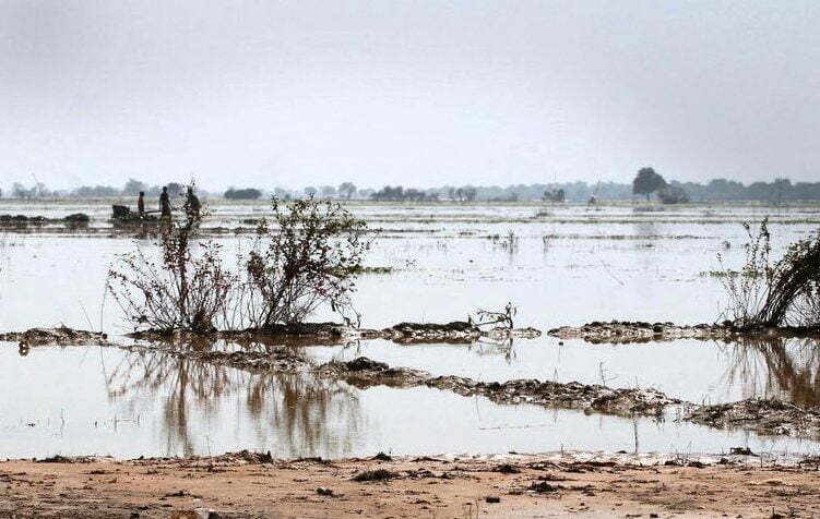 ஈர நிலங்கள் Wetlands for Disaster Risk Reduction