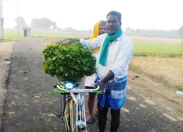 ஒன்னுக்குப் பத்தா திருப்பித் தரும் கீரை சாகுபடி!