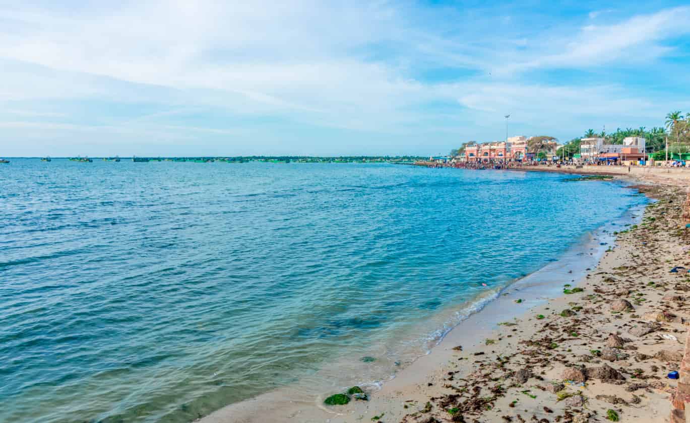 இறால் வளர்ப்பு rameswaram sea