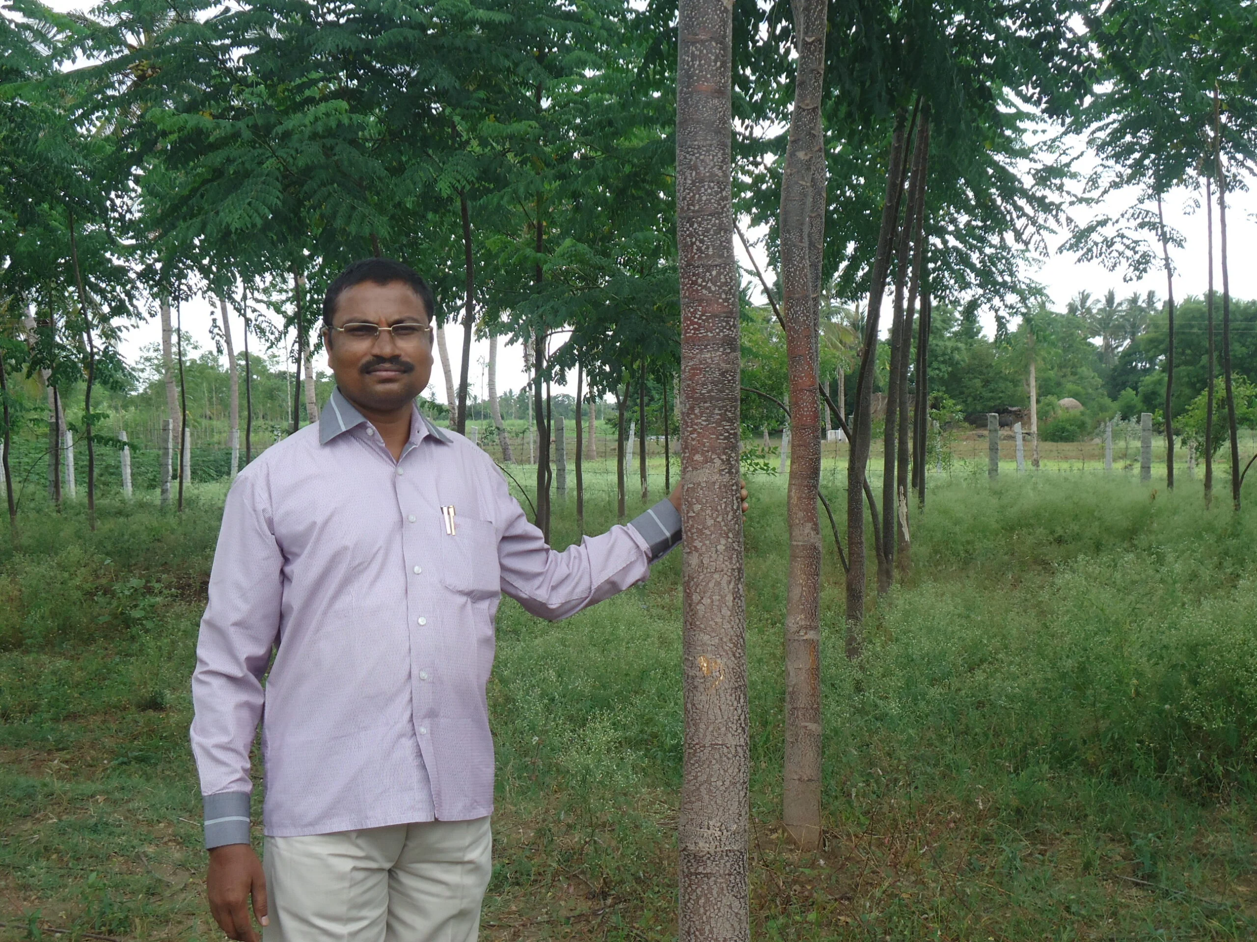 நம்ம பிள்ளைக வாழணும்ன்னா மரங்கள வளர்க்கணும்!