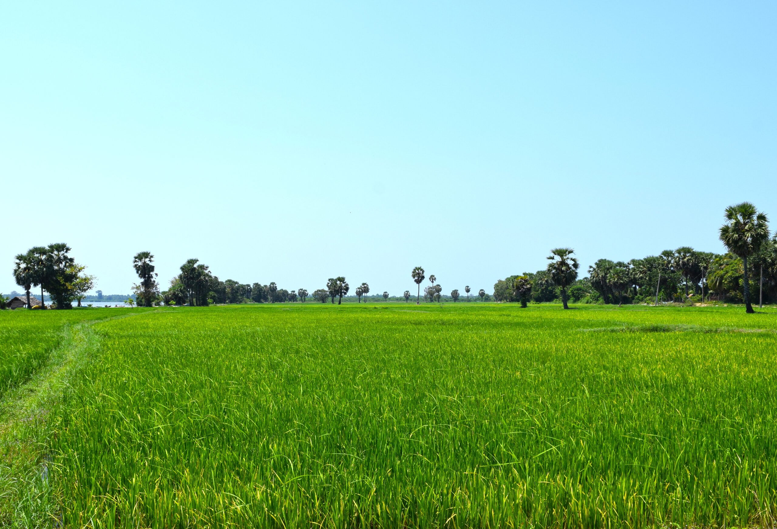 மீன் வளர்ப்பு nelvayal scaled