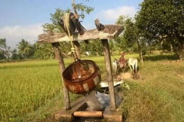 நீர் இருப்பை அறிந்து விவசாயம் செய்ய வேண்டும்!