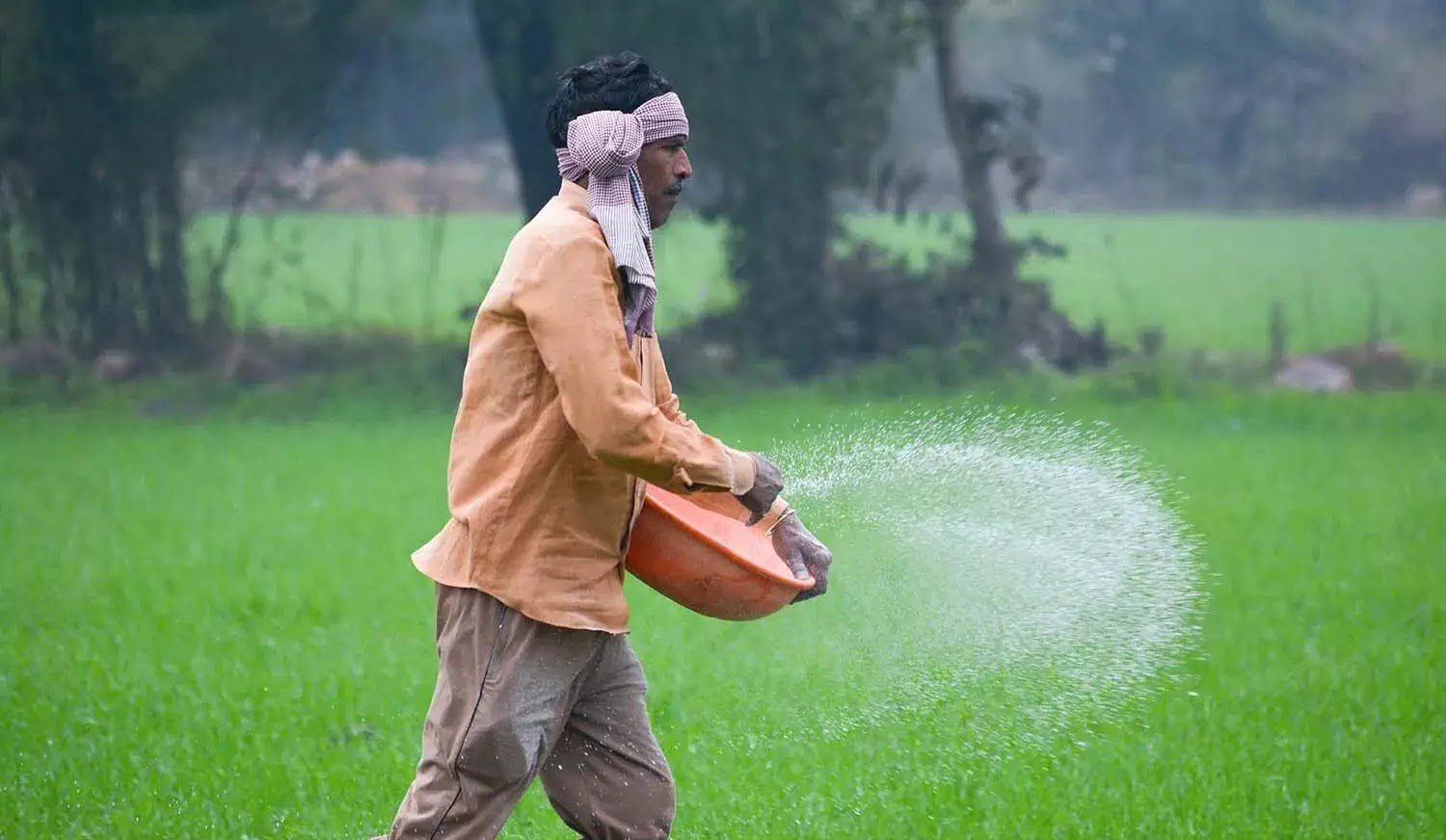 இயற்கை வேளாண்மைக்கு உதவும் பாரம்பரிய முறைகள்!