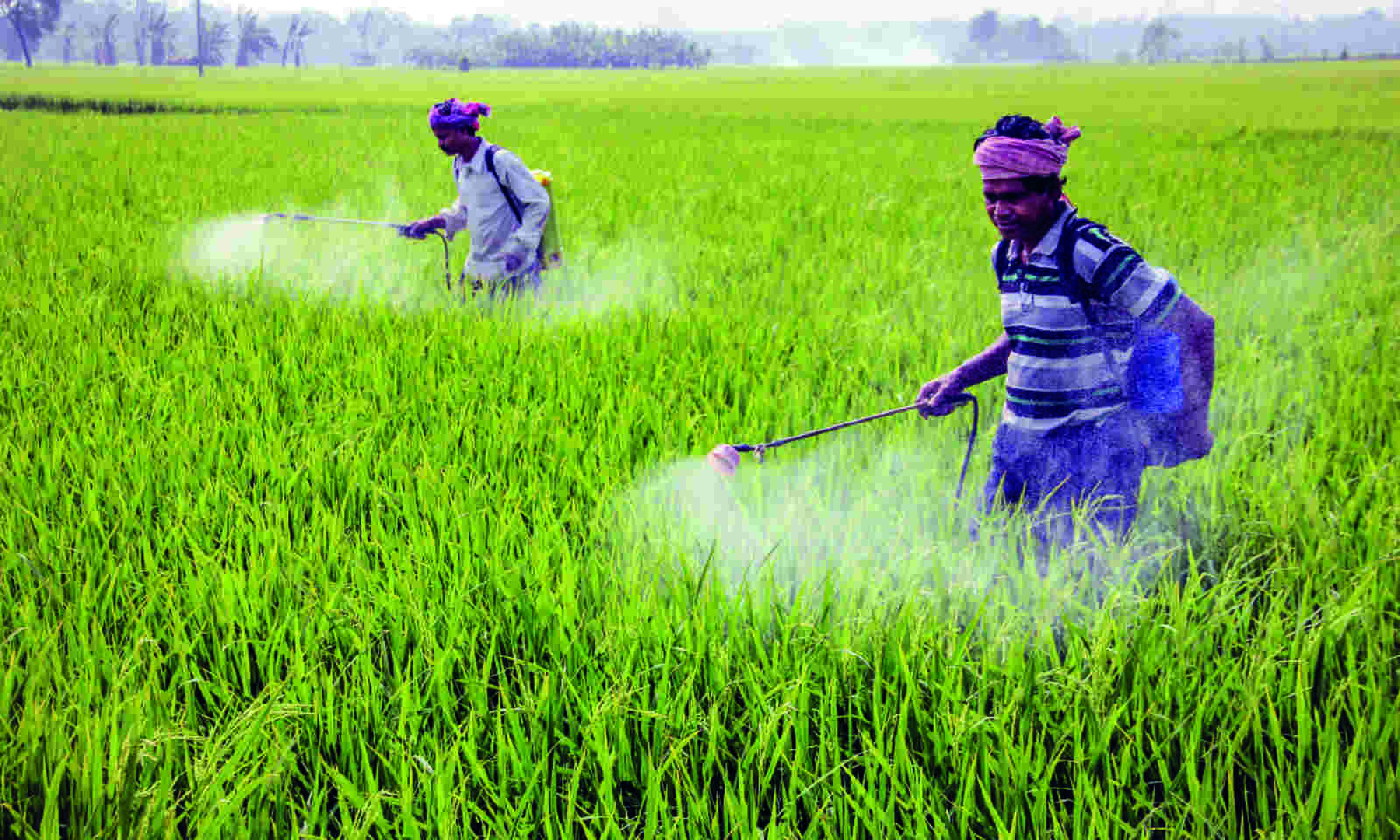 பயிர்ப் பாதுகாப்பு crop protection