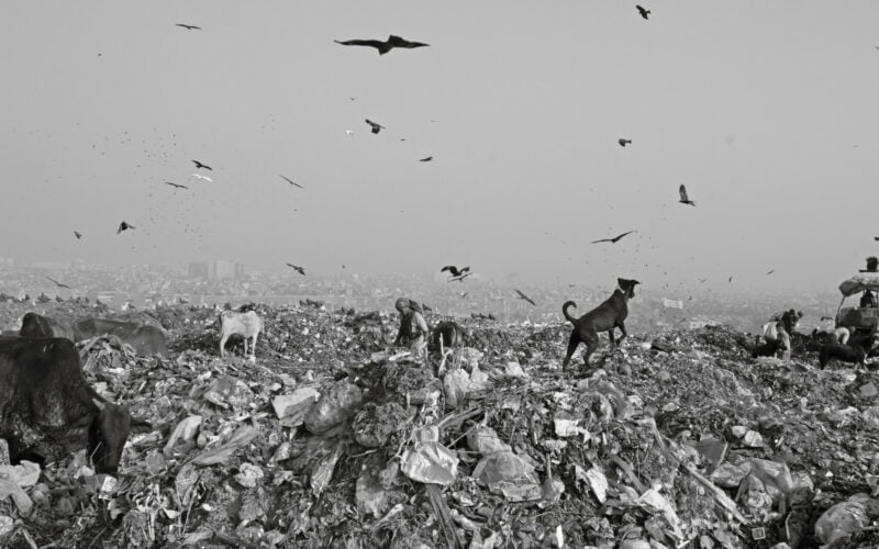 அப்துல்கலாம் dumpyard