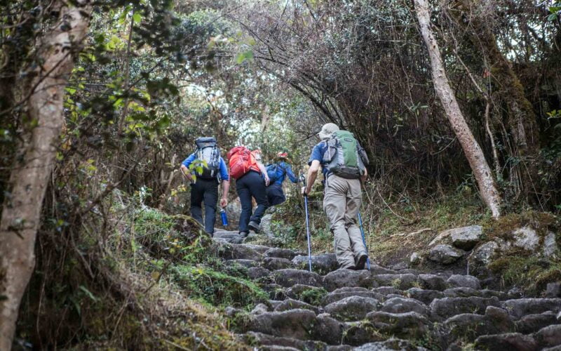 Forest Tourism explorandes peru inca trail 820b992073e7d2d90bc1e4e3c6b6e48a