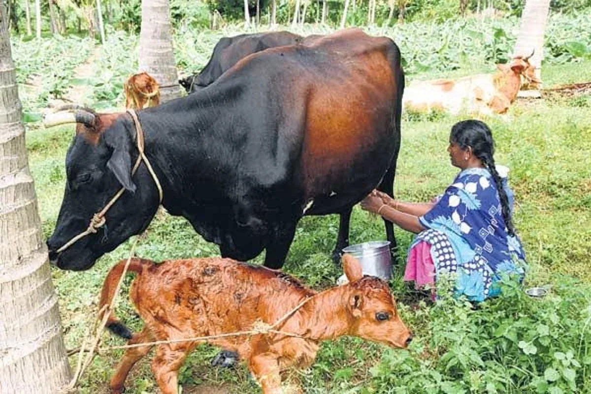 கருப்பை மற்றும் யோனி வெளியாவதைத் தடுத்தல்!