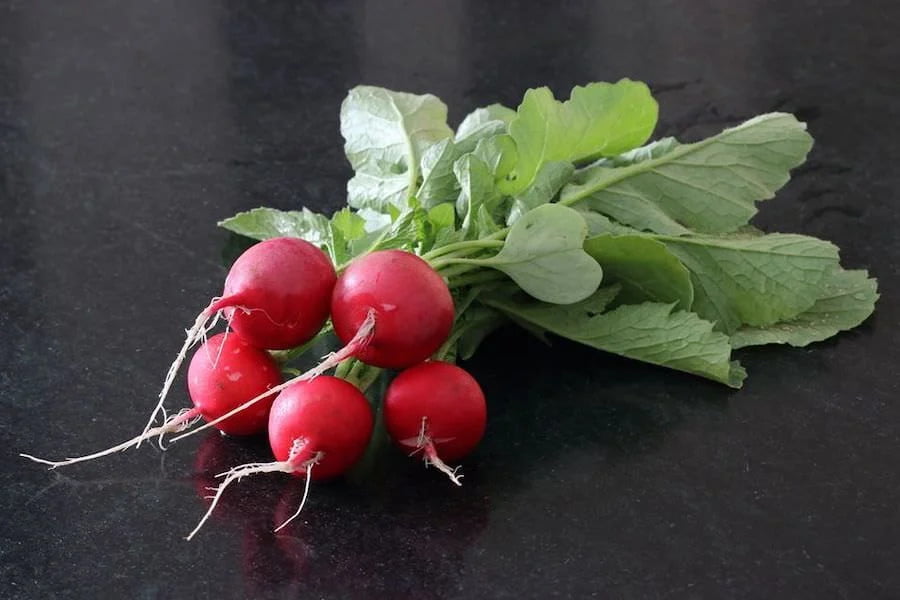 கிழங்கு அவரை mexican radish