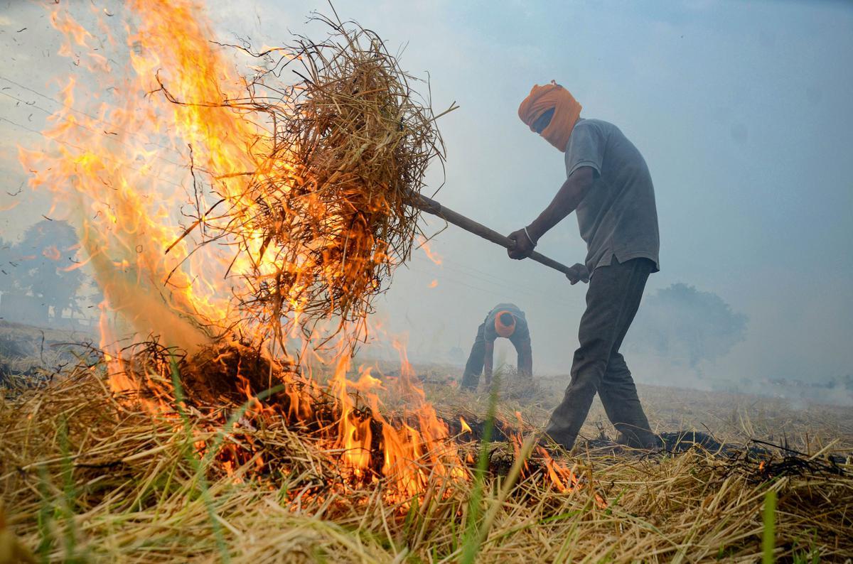 பயிர்க் கழிவுகளை எரிக்கலாமா?