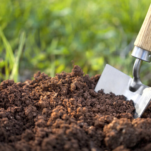 Methods to Enrich Soil!
