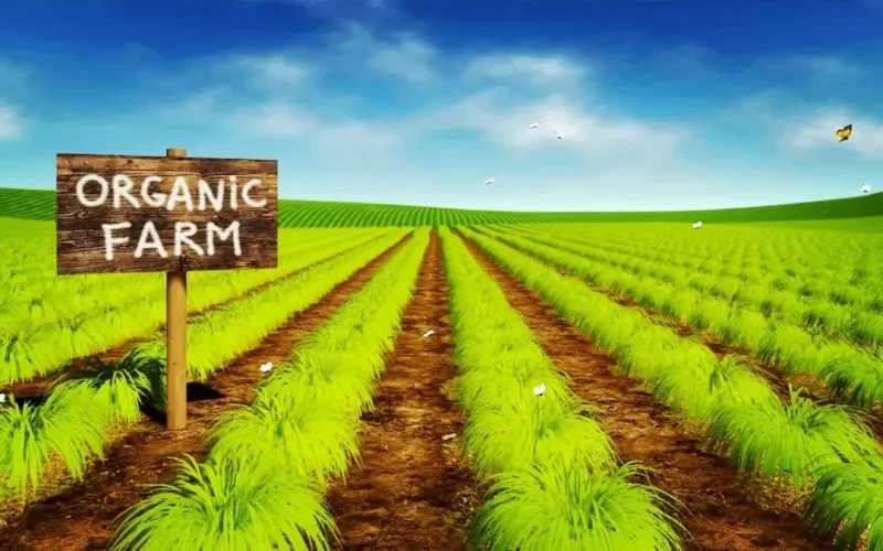 அங்கக ORGANIC FARMING