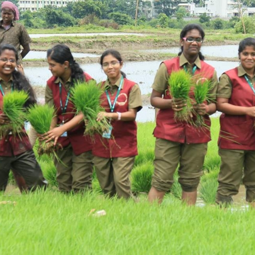 தமிழ்நாட்டில் உள்ள வேளாண் கல்லூரிகள்!