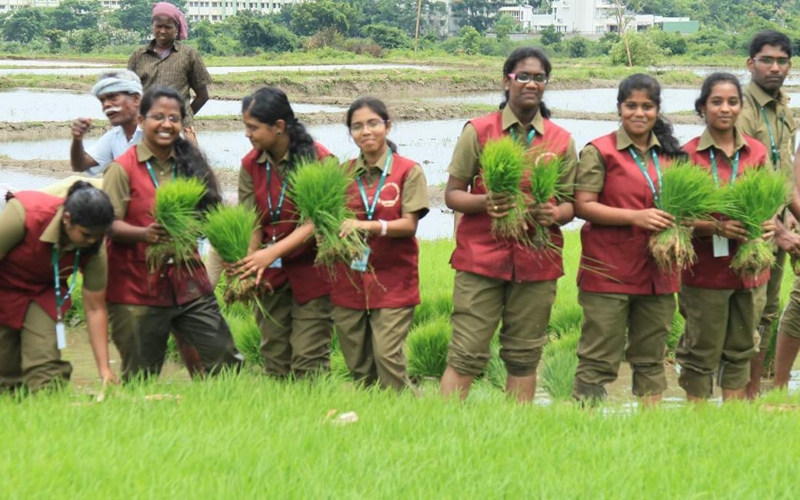 வேளாண் கல்லூரி agri college