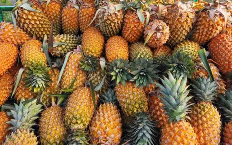 Pineapple: The Marvelous Fruit!