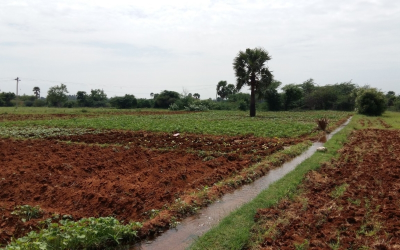 இயற்கை வேளாண்மை இயற்கை வேளாண்மை