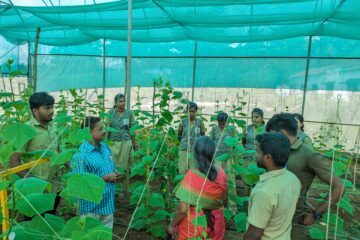 அனுபவப் பயிற்சிக் கல்வித் திட்டத்தில் தோட்டக்கலை மாணவர்கள்!