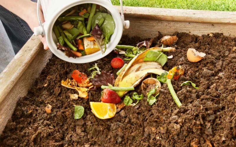 Making Organic Fertilizer from Household Waste