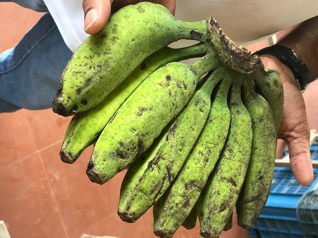 வாழை Bananas