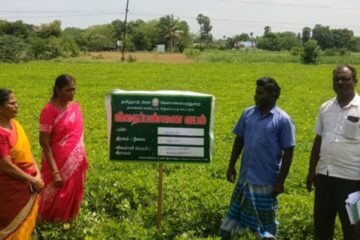 விதைப் பண்ணை அமைக்க விவசாயிகளுக்கு அழைப்பு!