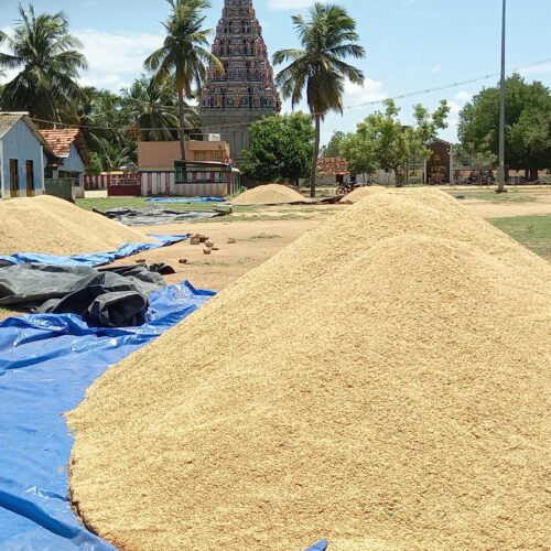 நெல் கொள்முதல் நிலையங்களில் லஞ்சமா? வாட்ஸ்அப்பில் புகார் தரலாம்!